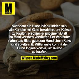 Nachdem ein Hund in Kolumbien sah, wie Kunden mit Geld bezahlten, um Kekse zu kaufen, erschien er mit einem Blatt im Mau