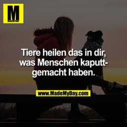Tiere heilen das in dir,
was Menschen kaputt-
gemacht haben.