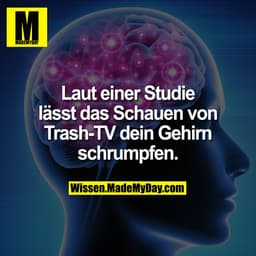 Laut einer Studie lässt das Schauen von Trash-TV dein Gehirn schrumpfen.