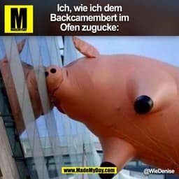 Ich, wie ich dem
Backcamembert im
Ofen zugucke:
@WieDenise
(BILD)