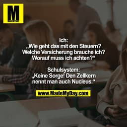 Ich:
„Wie geht das mit den Steuern?
Welche Versicherung brauche ich?
Worauf muss ich achten?“

Schulsystem:
„Keine Sorge