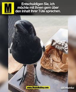 Entschuldigen Sie, ich
möchte mit Ihnen gern über
den Inhalt Ihrer Tüte sprechen.
@EinfachSui
(BILD)