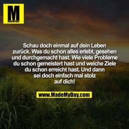 Schau doch einmal auf dein Leben
zurück. Was du schon alles erlebt, gesehen
und durchgemacht hast. Wie viele Probleme
du