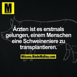 Ärzten ist es erstmals gelungen, einem Menschen eine Schweineniere zu transplantieren.