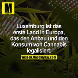 Luxemburg ist das erste Land in Europa, das den Anbau und den Konsum von Cannabis legalisiert.