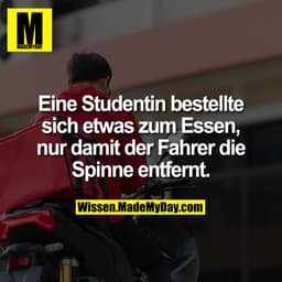Eine Studentin bestellte sich etwas zum Essen, nur damit der Fahrer die Spinne entfernt.