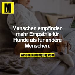 Menschen empfinden mehr Empathie für Hunde als für andere Menschen.