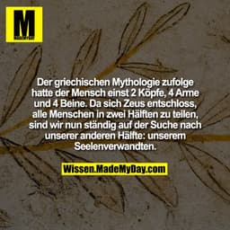 Der griechischen Mythologie zufolge hatte der Mensch einst 2 Köpfe, 4 Arme und 4 Beine. Da sich Zeus entschloss, alle Me