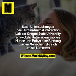 Nach Untersuchungen des Human-Animal Interaction Lab der Oregon State University entwickeln Katzen genauso wie Hunde und