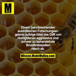 Einem bahnbrechenden australischen Forschungsergebnis zufolge tötet das Gilft von Honigbienen aggressive und schwer zu b