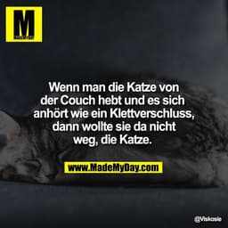 Wenn man die Katze von
der Couch hebt und es sich 
anhört wie ein Klettverschluss,
dann wollte sie da nicht
weg, die Kat