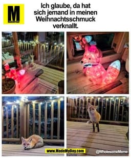Ich glaube, da hat
sich jemand in meinen
Weihnachtsschmuck
verknallt.
@WholesomeMeme
(BILD)
