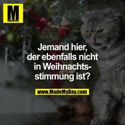 Jemand hier,
der ebenfalls nicht
in Weihnachts-
stimmung ist?