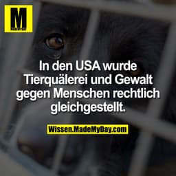 In den USA wurde Tierquälerei und Gewalt gegen Menschen rechtlich gleichgestellt.