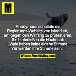 Anonymous schaltete die Regierungs-Website von Island ab, um gegen den Walfang zu protestieren. Sie hinterließen die Nac