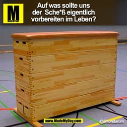 Auf was sollte uns
der  Sche*ß eigentlich
vorbereiten im Leben?
@antondarum
(BILD)