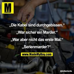 „Die Kabel sind durchgebissen.“

„War sicher ein Marder.“

„War aber nicht das erste Mal.“

„Serienmarder?“