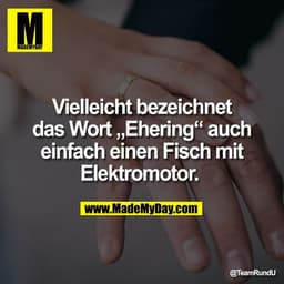 Vielleicht bezeichnet
das Wort „Ehering“ auch
einfach einen Fisch mit
Elektromotor.