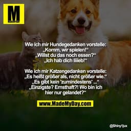 "Wie ich mir Hundegedanken vorstelle:
„Komm, wir spielen!“
„Willst du das noch essen?“
„Ich hab dich liiieb!“

Wie ich m