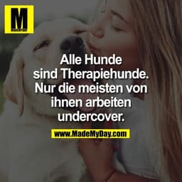 Alle Hunde
sind Therapiehunde.
Nur die meisten von
ihnen arbeiten
undercover.