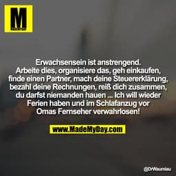 Erwachsensein ist anstrengend.
Arbeite dies, organisiere das, geh einkaufen,
finde einen Partner, mach deine Steuererklä