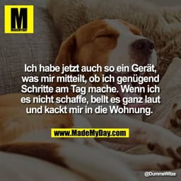 Ich habe jetzt auch so ein Gerät,
was mir mitteilt, ob ich genügend
Schritte am Tag mache. Wenn ich
es nicht schaffe, be