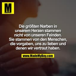 Die größten Narben in
unserem Herzen stammen
nicht von unseren Feinden.
Sie stammen von den Menschen,
die vorgaben, uns 