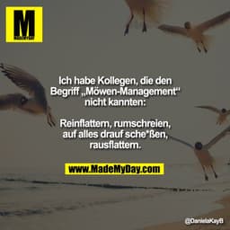 Ich habe Kollegen, die den
Begriff „Möwen-Management“
nicht kannten:

Reinflattern, rumschreien,
auf alles drauf sche*ße