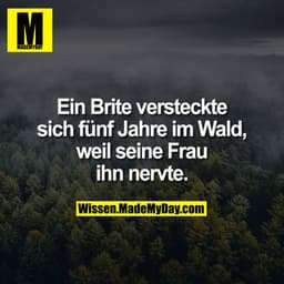 Ein Brite versteckte sich fünf Jahre im Wald, weil seine Frau ihn nervte.