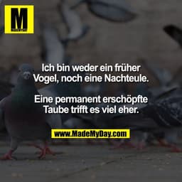 Ich bin weder ein früher
Vogel, noch eine Nachteule.

Eine permanent erschöpfte
Taube trifft es viel eher.