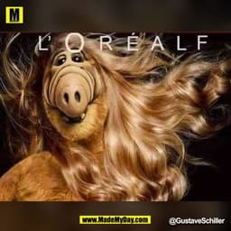 L'OREALF
@GustaveSchiller
(BILD)