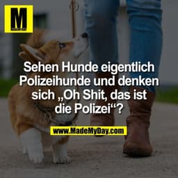 Sehen Hunde eigentlich
Polizeihunde und denken
sich „Oh Shit, das ist
die Polizei“?