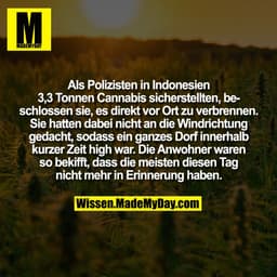 Als Polizisten in Indonesien 3,3 Tonnen Cannabis sicherstellten, beschlossen sie, es direkt vor Ort zu verbrennen. Sie h