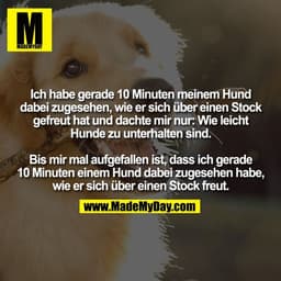 Ich habe gerade 10 Minuten meinem Hund
dabei zugesehen, wie er sich über einen Stock
gefreut hat und dachte mir nur: Wie