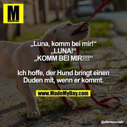 „Luna, komm bei mir!“
„LUNA!“
„KOMM BEI MIR!!!!“

Ich hoffe, der Hund bringt einen
Duden mit, wenn er kommt.