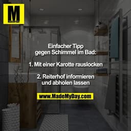 ADEMYOAI
Einfacher Tipp
gegen Schimmel im Bad:
1. Mit einer Karotte rauslocken
2. Reiterhof informieren
und abholen lass