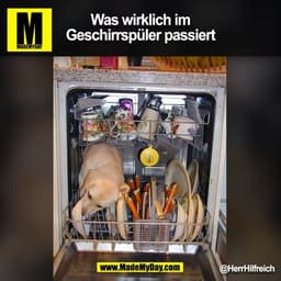 Was wirklich im
Geschirrspüler passiert
@HerrHilfreich