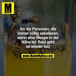 An die Personen, die
immer völlig eskalieren,
wenn eine Wespe in der
Nahe ist: Bald geht
es wieder los!
