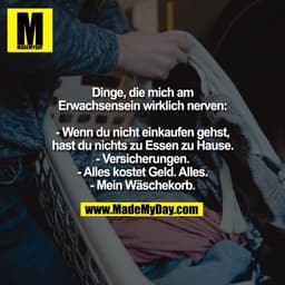 Dinge, die mich am
Erwachsensein wirklich nerven:
- Wenn du nicht einkaufen gehst,
hast du nichts zu Essen zu Hause.
- V