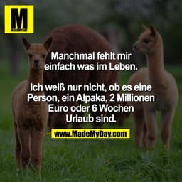 Manchmal fehlt mir
einfach was im Leben.
Ich weiß nur nicht, ob es eine
Person, ein Alpaka, 2 Millionen
Euro oder 6 Woch