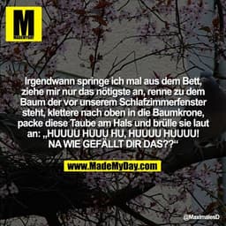 Irgendwann springe ich mal aus dem Bett,
ziehe mir nur das nötigste an, renne zu dem
Baum der vor unserem Schlafzimmerfe