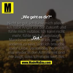 „Wie geht es dir?“

(Nicht so gut, ich fühle mich alleine.
Ich habe Angst vor der Zukunft und
fühle mich nutzlos. Ich ka