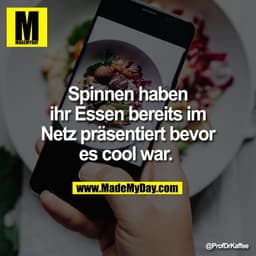 Spinnen haben
ihr Essen bereits im
Netz präsentiert bevor
es cool war.