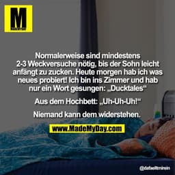 "Normalerweise sind mindestens
2-3 Weckversuche nötig, bis der Sohn leicht
anfängt zu zucken. Heute morgen hab ich was
n