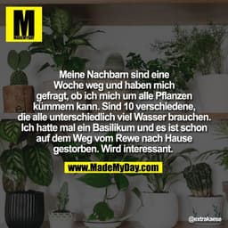 Meine Nachbarn sind eine
Woche weg und haben mich
gefragt, ob ich mich um alle Pflanzen
kümmern kann. Sind 10 verschiede