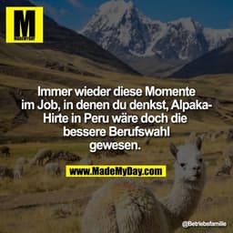Immer wieder diese Momente
im Job, in denen du denkst, Alpaka-
Hirte in Peru wäre doch die 
bessere Berufswahl
gewesen.