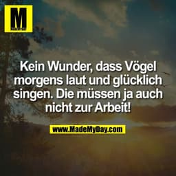 Kein Wunder, dass Vögel
morgens laut und glücklich
singen. Die müssen ja auch
nicht zur Arbeit!