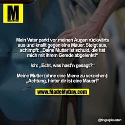 Mein Vater parkt vor meinen Augen rückwärts
aus und knallt gegen eine Mauer. Steigt aus,
schimpft: „Deine Mutter ist sch