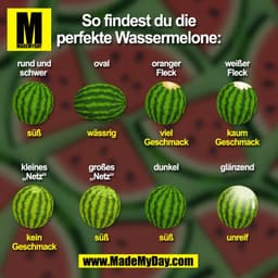 So findest du die perfekte Wassermelone:
(BILD)
