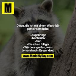 Dinge, die ich mit einem Waschbär
gemeinsam habe:

- Augenringe
- Nachtaktiv
- Süß
- Bisschen fülliger
- Würde angreifen